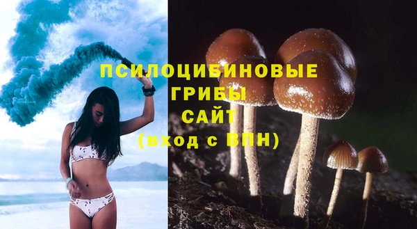 таблы Армянск