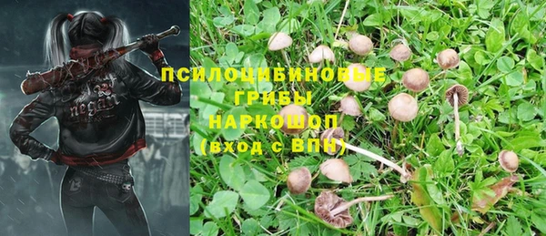 таблы Армянск